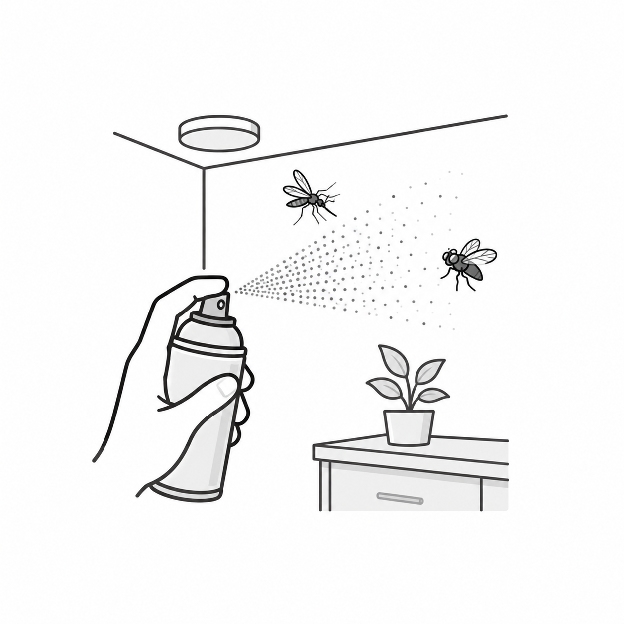 Spray Evenly